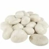 Promo ❤️ Modern Vase And Gift Pack Of 12 LBS Nature White Stone Vase Filler River Stones D-0.8"-1.2" 😉