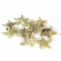 Discount 🛒 Modern Vase And Gift Natural Vase Filler Large Star Fish Knobby D-3"-4" - Pack Of 48 PCS 😀
